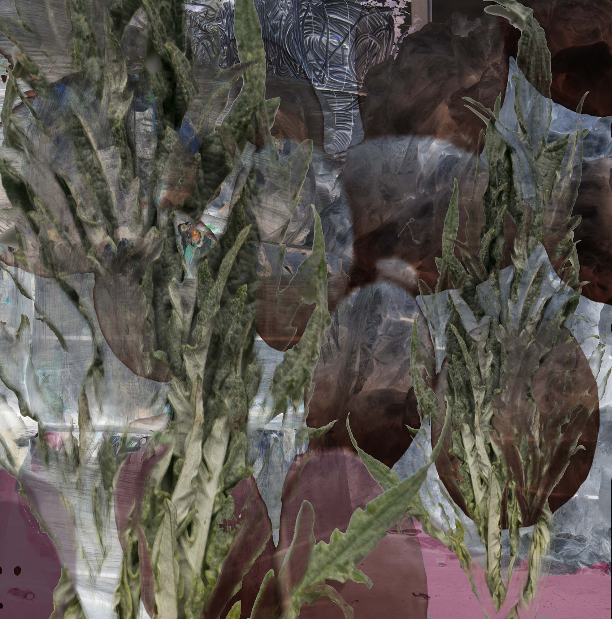 Florence Iff, Amalgamated Fragmentation/Plastisphere–Plant 3, digital photograph/collage, 2018, 24x24”