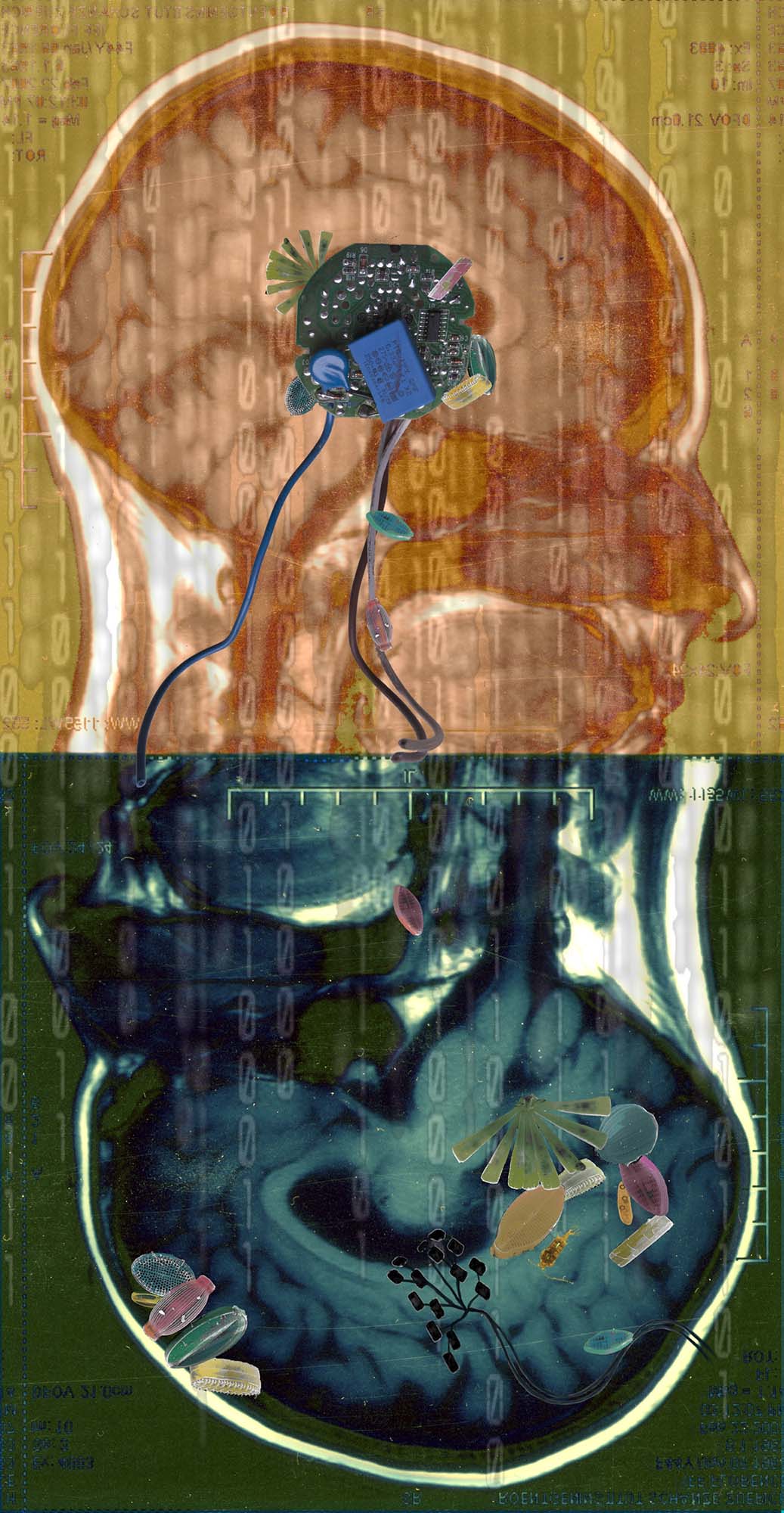 Florence Iff, Amalgamated Fragmentation/Plastisphere–Body 1, digital photograph/collage, 2018, 31x16”