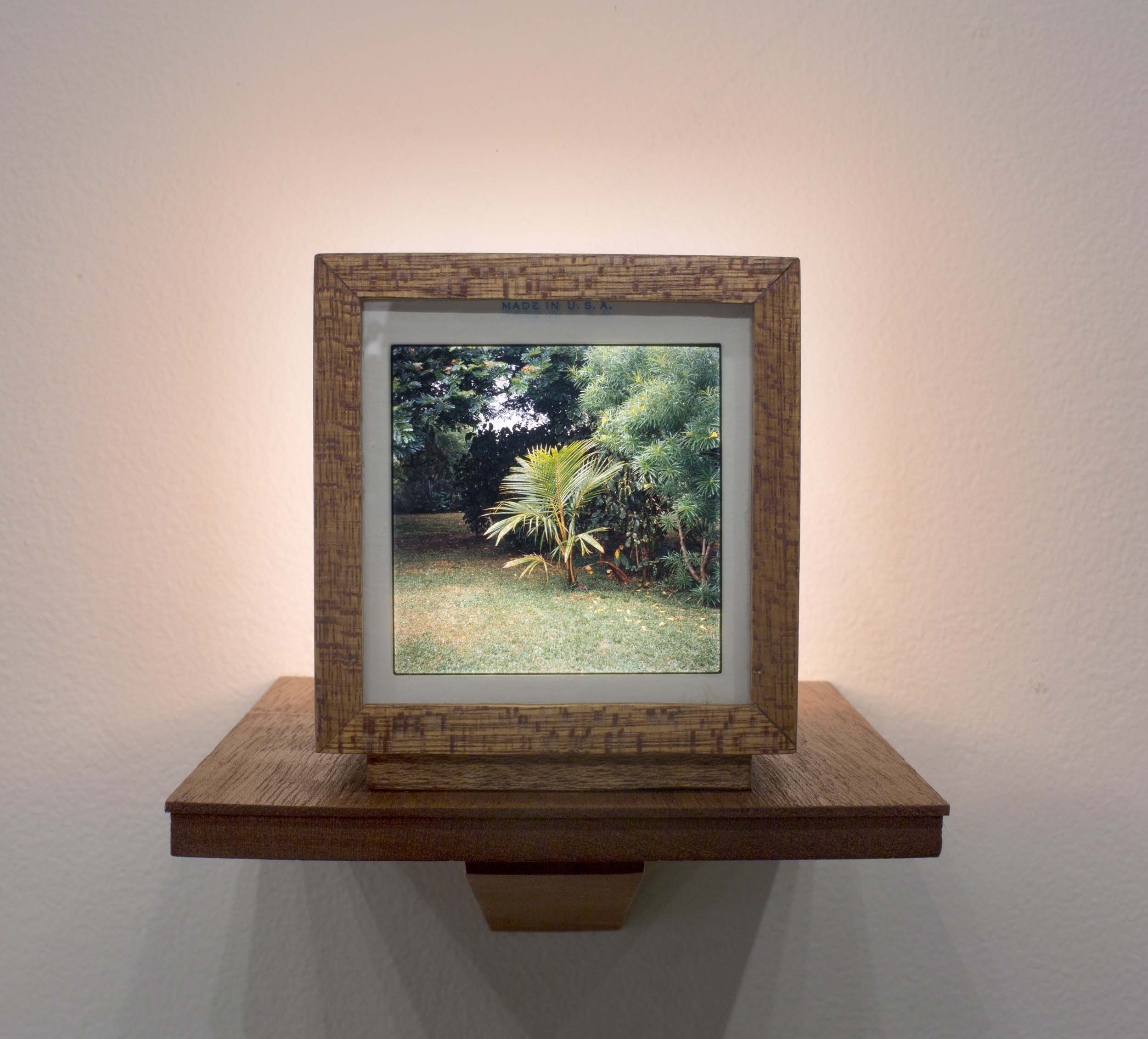 Mark Baugh-Sasaki, (Detail) Between Two Palms Medium format slide, Plastic palm tree, wood, glass, LED light